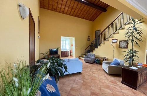 Ribeira Grande Apartment | Apartamentos em Casa da Avó Inês