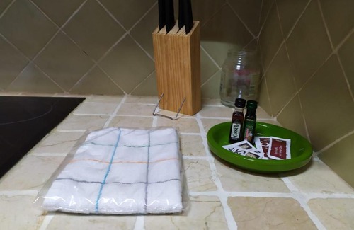 Coscojuela de Sobrarbe Apartment | Apartamentos Borda Falceto