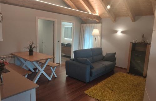 Guntin Apartment | Apartamentos San Román