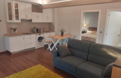 Guntin Apartment | Apartamentos San Román