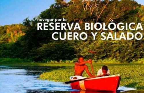 Sector 2 Apartment | Apartamentos y habitaciones en La Ceiba, HND