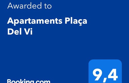 Old Town Apartment | Apartaments Plaça Del Vi