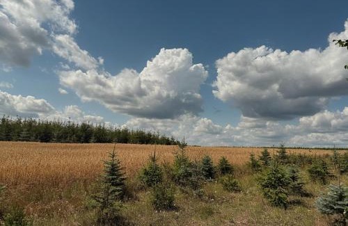 gmina Lwowek Apartment | Apartamenty i Winnica - Siedlisko Na Polanie