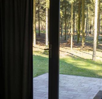 Goluchow Apartment | Apartamenty Leśne Historie