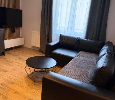 Grunwald Apartment | Apartamenty na Dalekiej