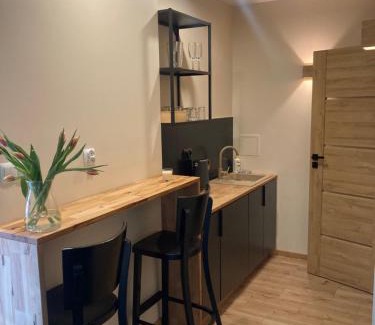 Centrum Apartment | Apartamenty PRZY FONTANNIE