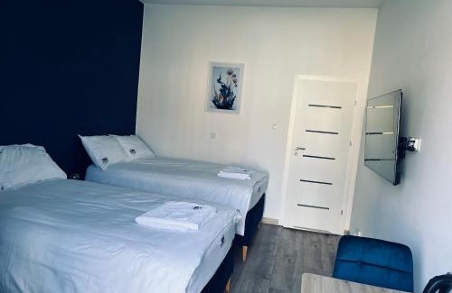 Brzeziny House | Apartamenty przy Muzeum