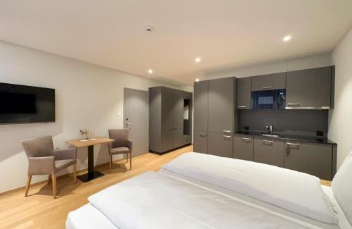 Beinwil am See Apartment | Aparthotel Beinwil am See