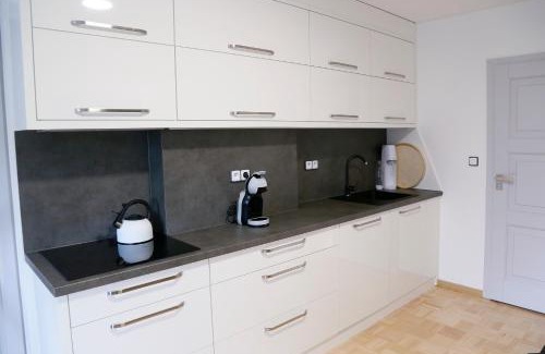 Albrechtice Apartment | Aparthotel Brokeš