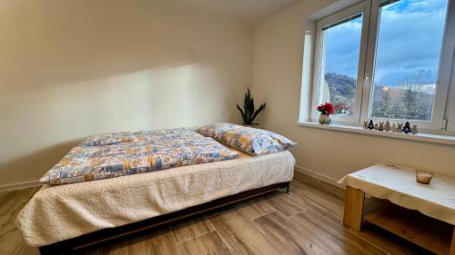 Spania Dolina Apartment | Apartmán ŠPANIA DOLINA