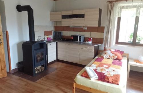 Blazejovice House | Apartmán Na Kopečku - žlutý pokoj