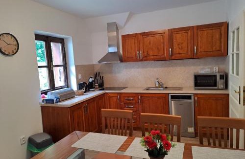 Rozmberk nad Vltavou Apartment | Apartmán Rožmberský sen