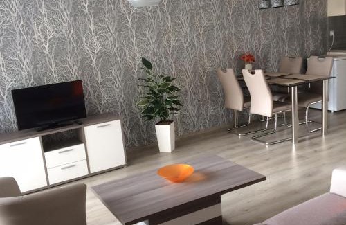 Trebon Apartment | Apartmán Třeboň č. 1