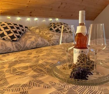 Jesenik Apartment | Apartmán u Ještěrky s finskou saunou