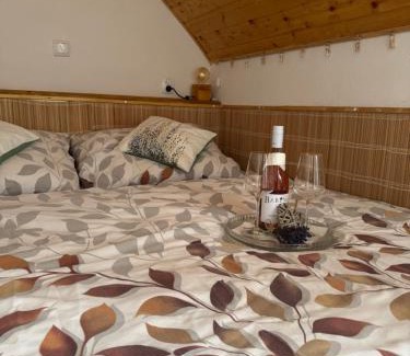 Jesenik Apartment | Apartmán u Ještěrky s finskou saunou