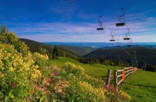 Jachymov Apartment | Apartmán U Lanovky