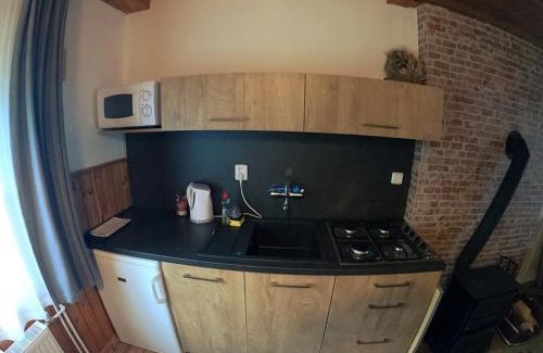 Zelezna Ruda Ski Chalet | Apartmán U Sjezdovky