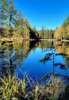 Kubova Hut Apartment | Apartmán U Vachtů - První Patro