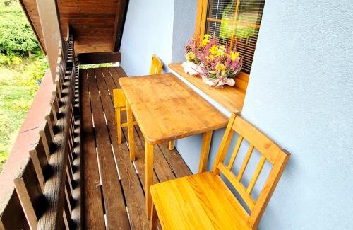 Kubova Hut Apartment | Apartmán U Vachtů - První Patro