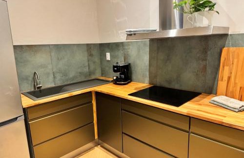 Vitkovice Apartment | Apartmán u Vetešnictví