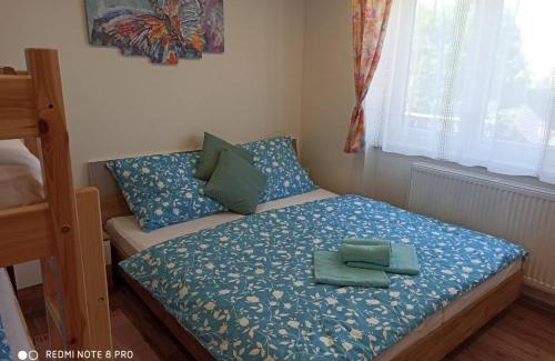 Cerna V Posumavi Apartment | Apartmán u Vrbů