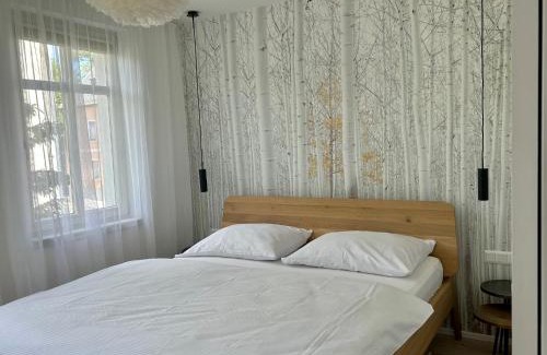 Horni Blatna Apartment | Apartmán U Zlaté břízy Krušné hory - Erzgebirge