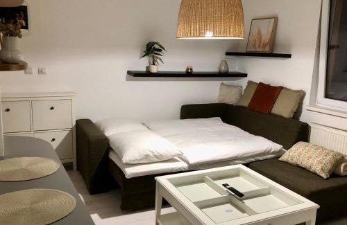 Zilina Apartment | Apartmán v centre Žiliny s parkovaním