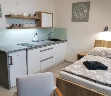 Trebon Apartment | Apartmán v Harmonii 3 patro