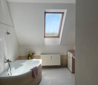 Ceske Budejovice Apartment | Apartmán v podkroví