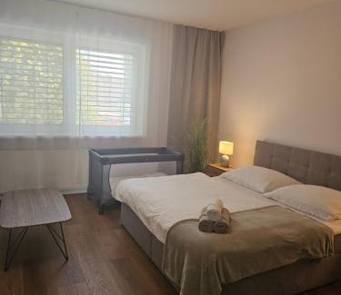 Piestany Apartment | Apartmán VAJANA Exclusiv & Jacuzzi