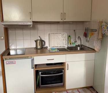 Philippsreut Apartment | Apartmán Viki