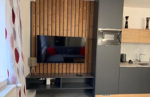 Tremosna Apartment | Apartmánový byt 1