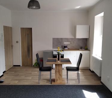 Dalovice Apartment | Apartmány Borská