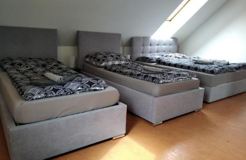 Dalovice Apartment | Apartmány Borská