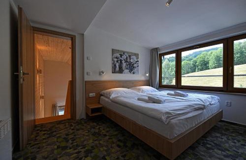 Dolni Morava House | Apartmány Chata Večernice