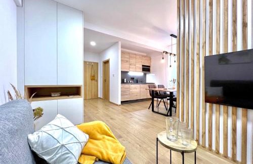 Jachymov Apartment | Apartmány K Lanovce s parkováním