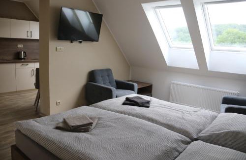 Hradec nad Moravici House | Apartmány LAMA