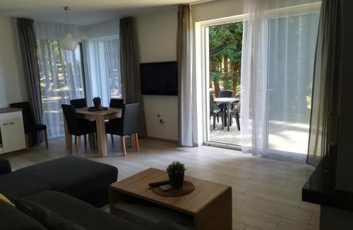 Lojzova Paseka Apartment | Apartmány LIPNOczech