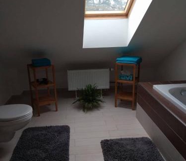 Bohutin Apartment | apartmány pod lesem