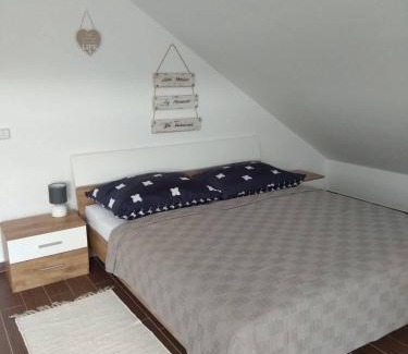 Bohutin Apartment | apartmány pod lesem