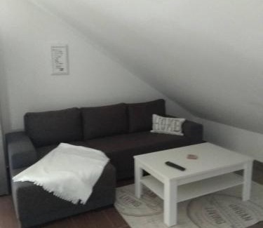 Bohutin Apartment | apartmány pod lesem