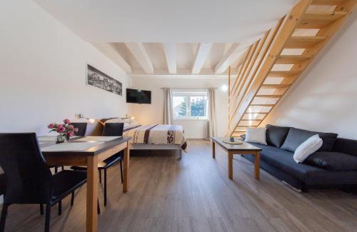 Velke Losiny Apartment | Apartmány Sophia 7