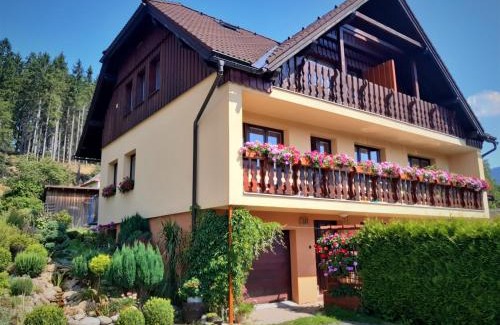 Rokytnice nad Jizerou Apartment | Apartmány u Jiroušů
