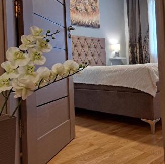 Subotica Apartment | Apartman 49