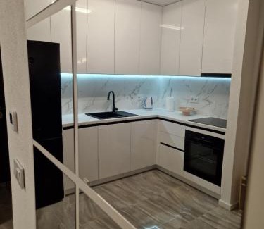 Canton 10 Apartment | Apartman Bistrica