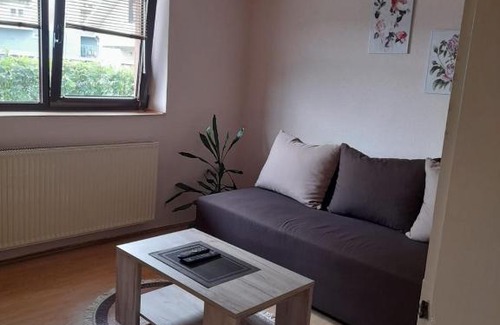 Vrnjacka Banja Apartment | Apartman Dunja 002