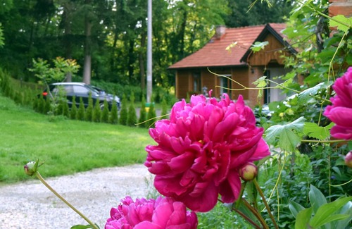 Sveti Martin na Muri House | Apartman Katruža nalazi se u općini Sv. Martin na Muri, u blizini raznovrsnih sadržaja prikladnih za miran odmor parova, prijatelja i obitelji s djecom. Toplice Sv. Martin, Farma jelena Jurovčak, mlin na Muri, Marđetkin brijeg s kojeg se pruža prekrasa.