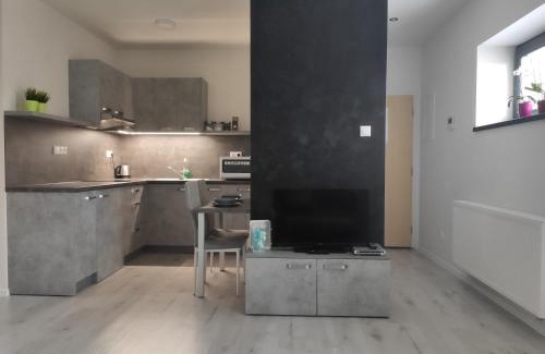 Zilina Apartment | Apartman Kuzmanyho Žilina centrum