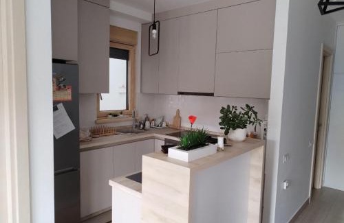 Zvezdara Apartment | Apartman Lion