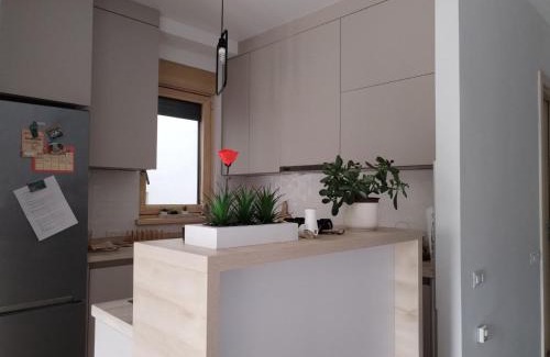 Zvezdara Apartment | Apartman Lion